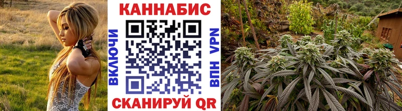 Где купить наркотики Пущино Амфетамин  Конопля  Мефедрон  Гашиш 