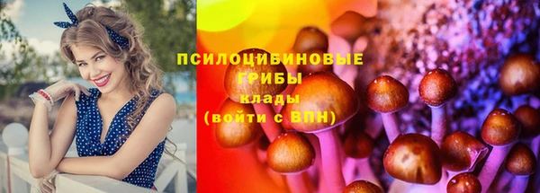 герыч Алзамай