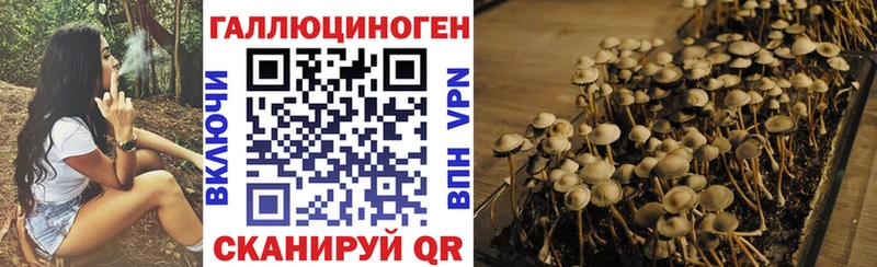 Галлюциногенные грибы ЛСД  Пущино 